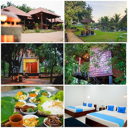Ceylon Amigos Eco Resort Сигирия Экстерьер фото
