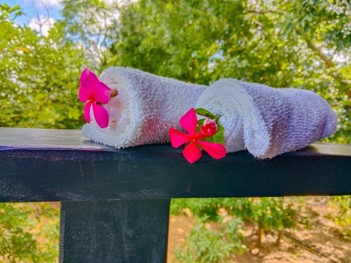 Ceylon Amigos Eco Resort Сигирия Экстерьер фото