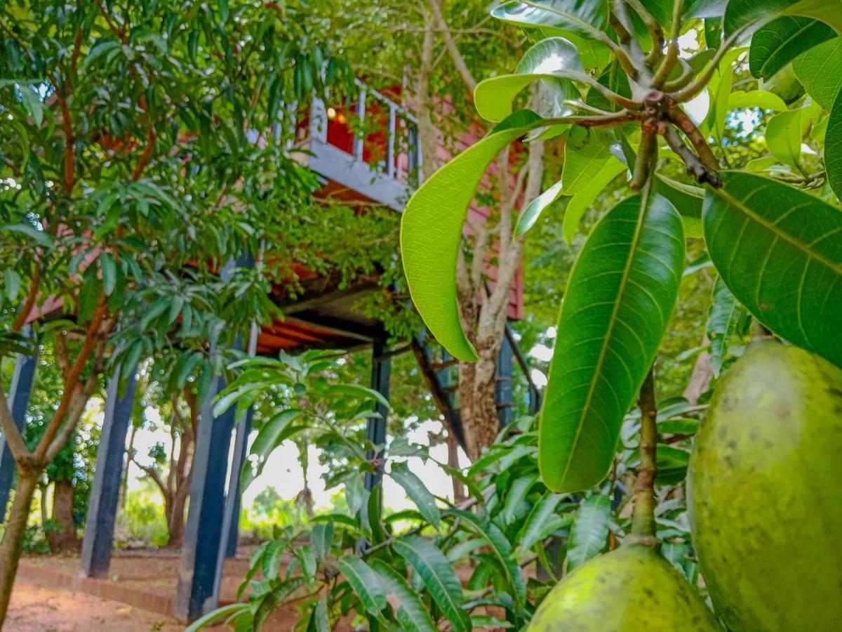 Ceylon Amigos Eco Resort Сигирия Экстерьер фото