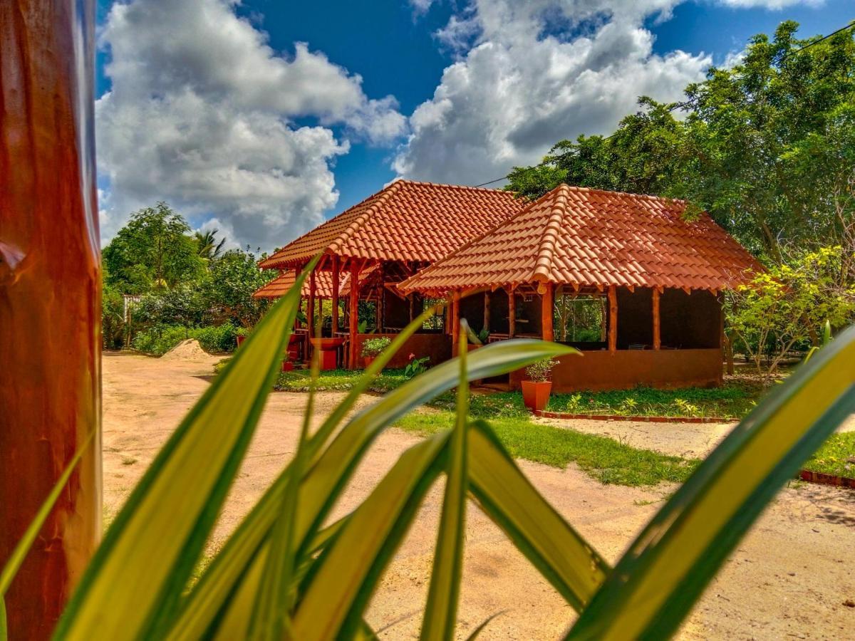 Ceylon Amigos Eco Resort Сигирия Экстерьер фото