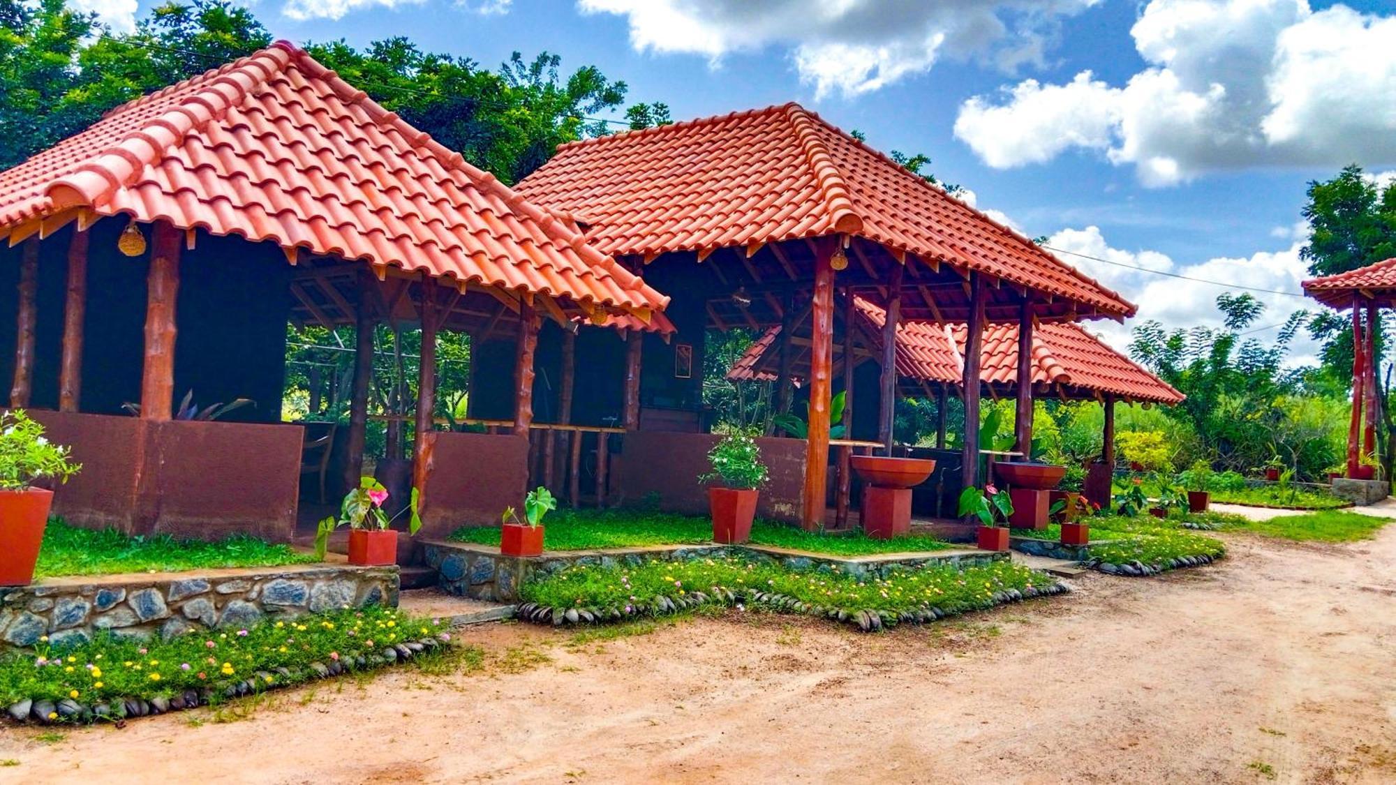 Ceylon Amigos Eco Resort Сигирия Экстерьер фото