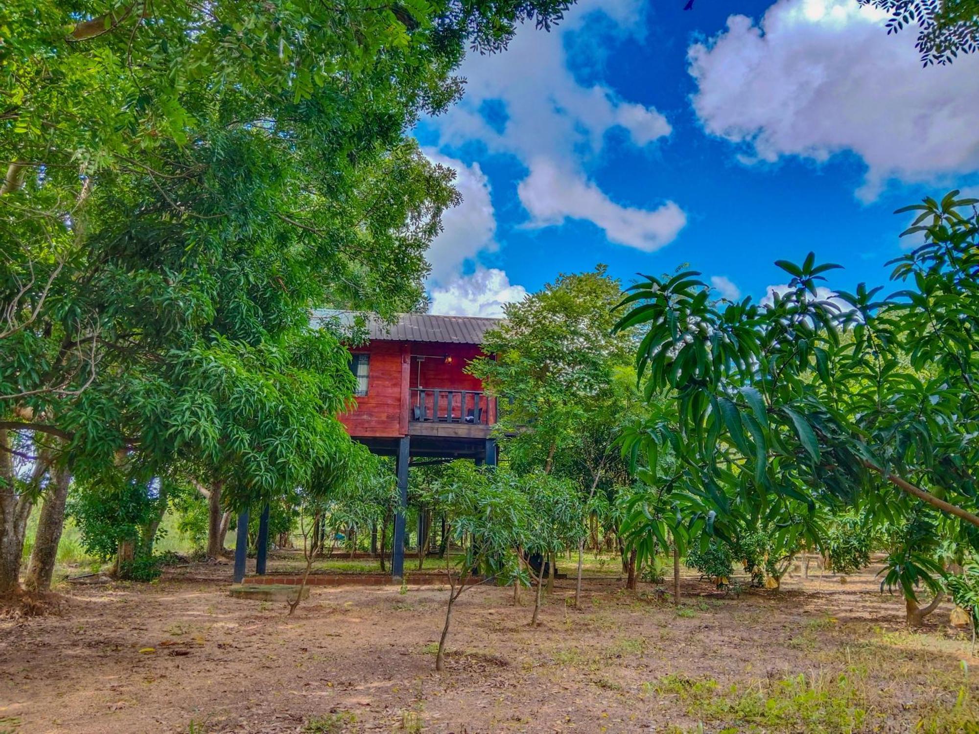 Ceylon Amigos Eco Resort Сигирия Экстерьер фото