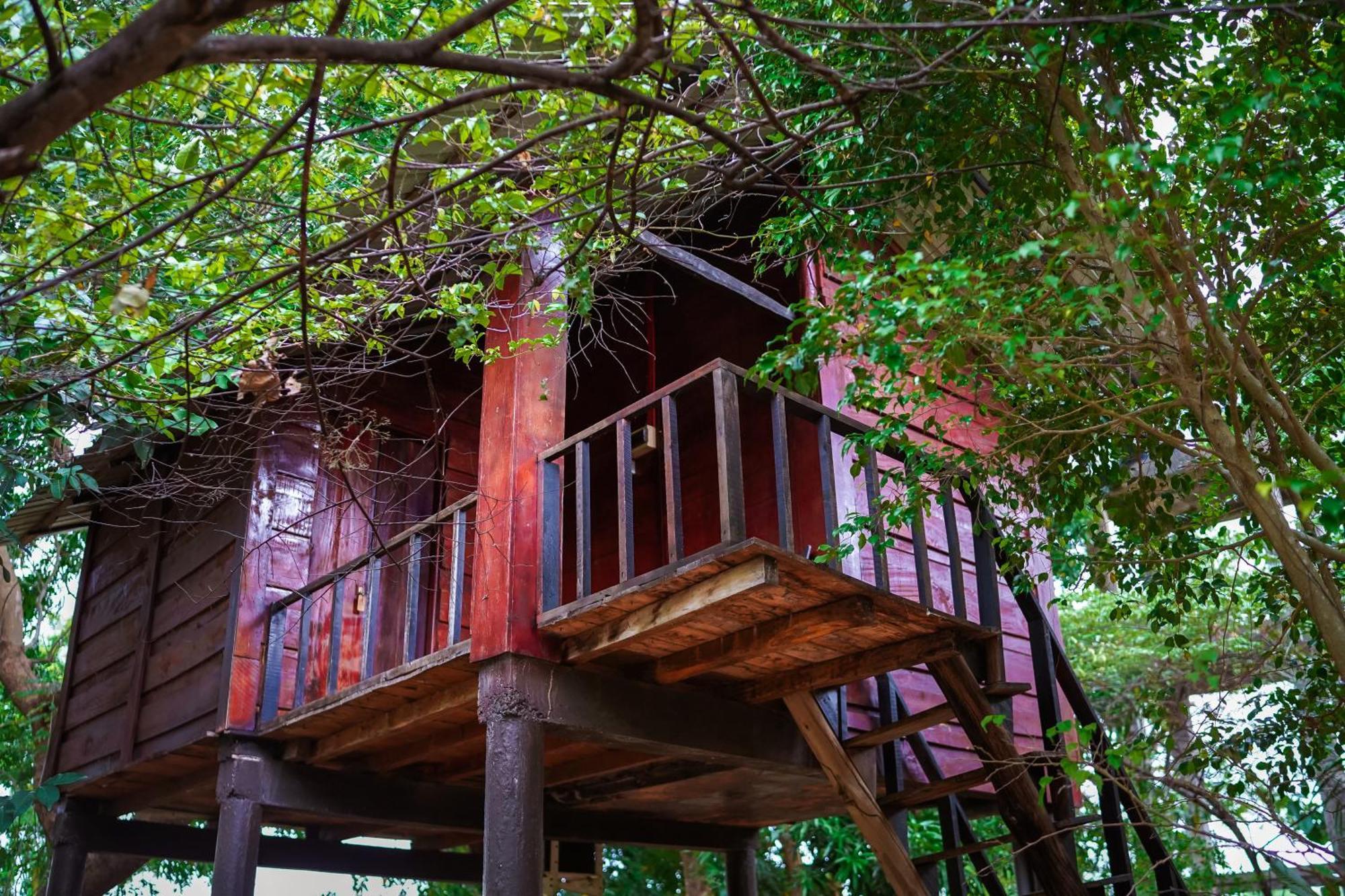 Ceylon Amigos Eco Resort Сигирия Экстерьер фото
